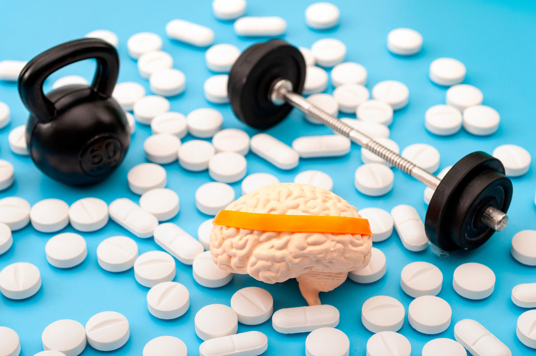 Lion's Mane Mushroom - The Natural Nootropic