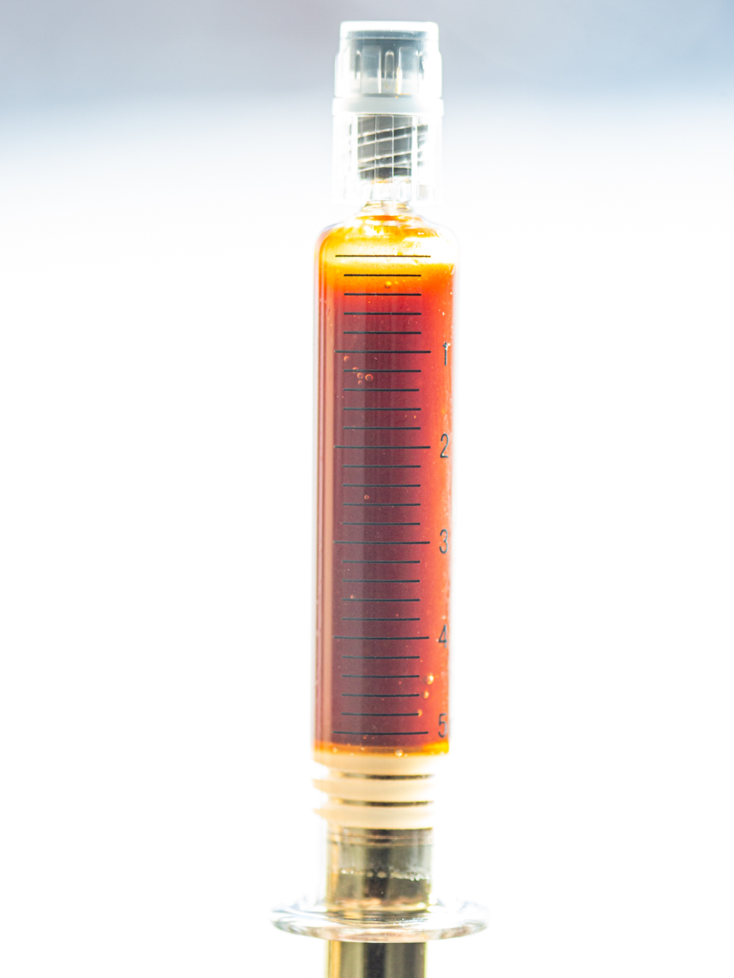 5ML Lion's Mane Dual Extract Liquid Concentrate