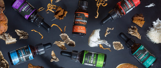 Choosing the Right Mushroom Extracts for You: A Comprehensive Guide for Health Enthusiasts