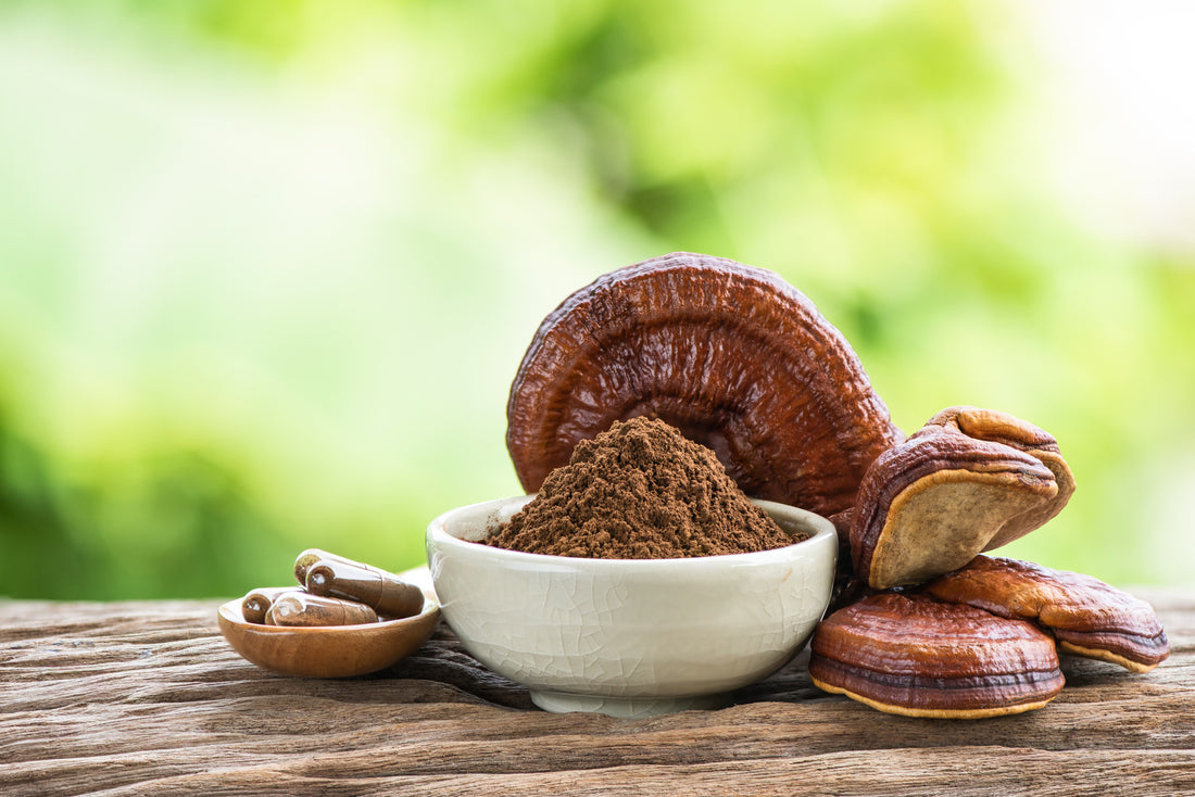 Should you be taking a Reishi mushroom supplement?