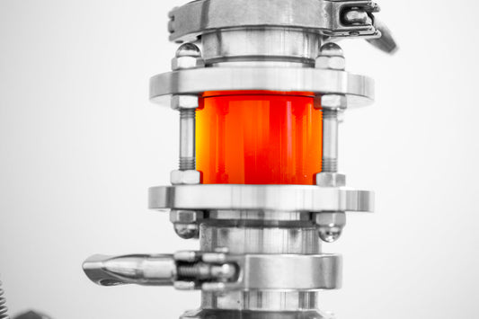Dual Extraction: Why Mushroom Extracts Use Water and Alcohol