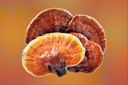 Raw Mushrooms vs Mushroom Supplements (Which one's better?)