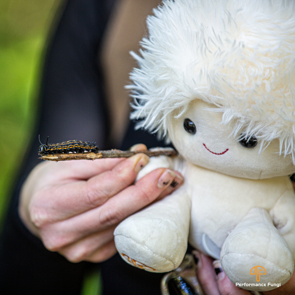 "Erin" The Lion's Mane Mushroom Plush