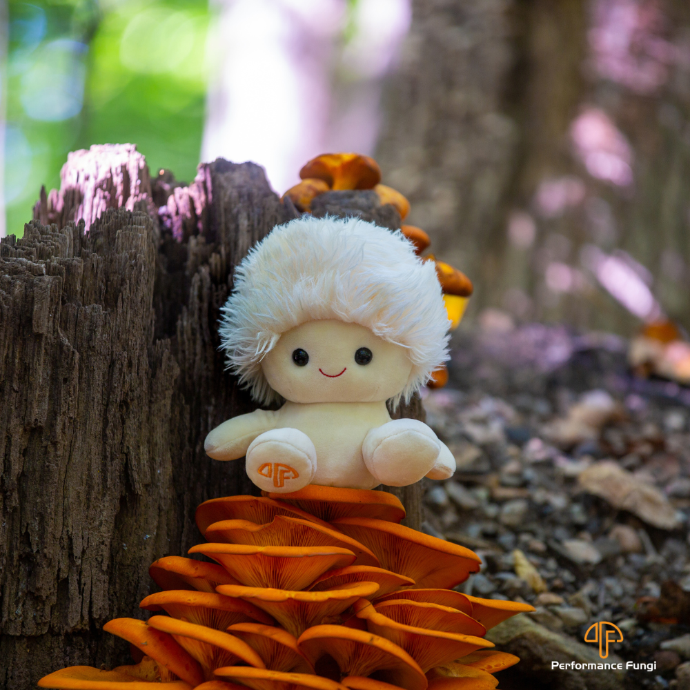 "Erin" The Lion's Mane Mushroom Plush